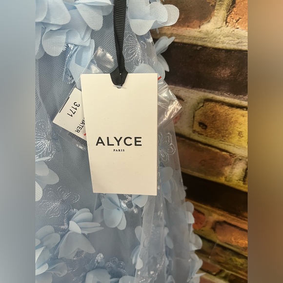 Prom/Homecoming Dress - Picture 5 of 5